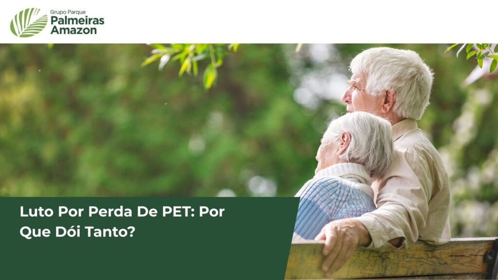 A perda de um pet é um luto profundo, muitas vezes desvalorizado. Entenda a importância do reconhecimento e como lidar com essa dor.
