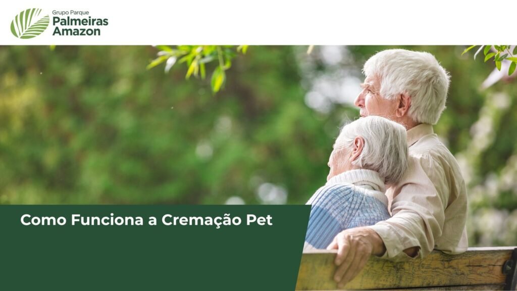 Descubra como a cremação de pets oferece uma despedida digna