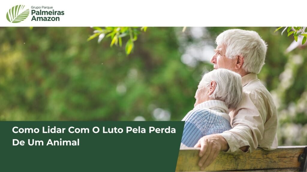 Lidar com a perda de um animal de estimação é desafiador. Descubra como reconhecer o luto e buscar apoio em momentos difíceis.