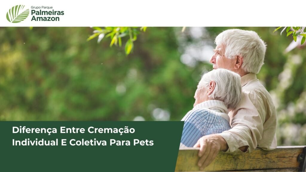 Descubra como escolher entre cremação individual e coletiva para seu pet
