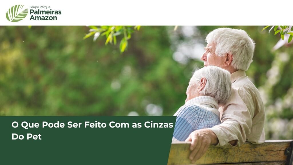 Descubra formas significativas de homenagear seu pet após a perda